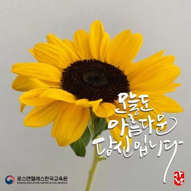 냅킨 공예부터 한지 공예, 보자기 포장, 디지털 캘리그라피까지 모두 배워보세요