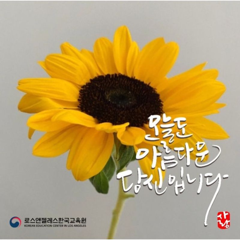 디지털 캘리그라피 (*마감*)